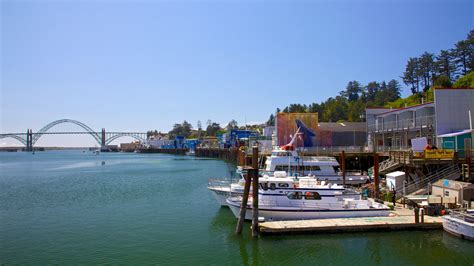 City of newport oregon - Newport, Oregon - the Dungeness Crab Capital of the world! And much, much more! Bring your surfboard, bicycle, hiking boots, and binoculars. Newport is an historic city that caters to residents and visitors of all ages and interests. 